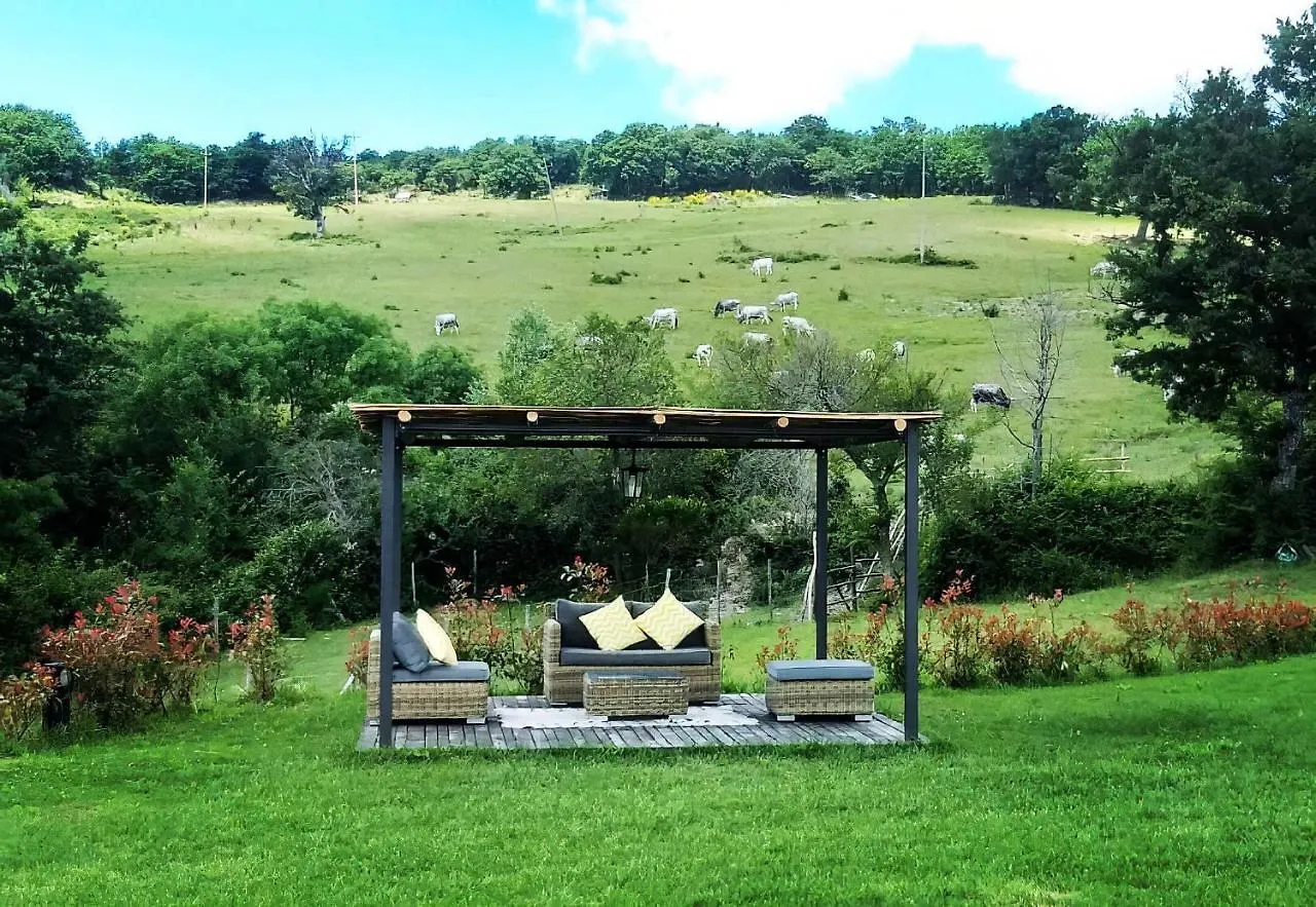 Terre Di Giorgio Agriturismo Villa La Palazzetta Castiglione d'Orcia Farm stay