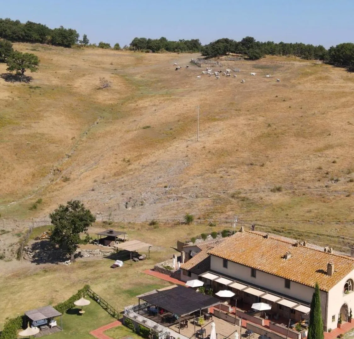 Farm stay Terre Di Giorgio Agriturismo Villa La Palazzetta Castiglione d'Orcia